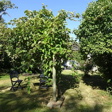 Appartamento Moulin de Ringère Quincay Esterno foto